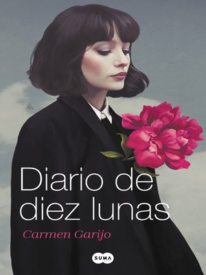 cover image of Diario de diez lunas